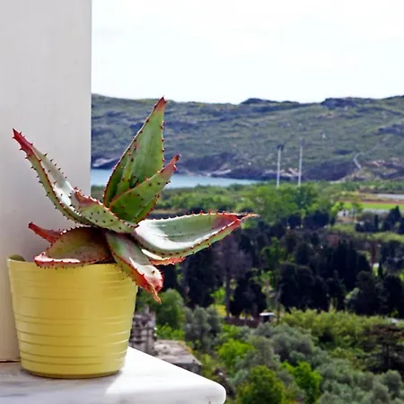 アパートホテル Anemomiloi Ándros